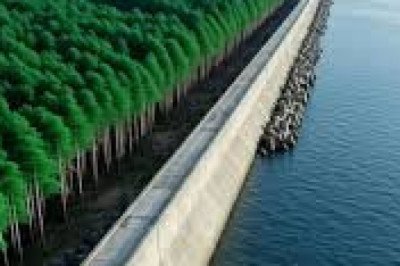 🌊 Japan’s Great Tsunami Shield: Concrete Walls, Green Forests &amp; Cutting-Edge Innovation